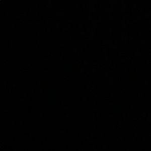 Meet your Posher, Binta